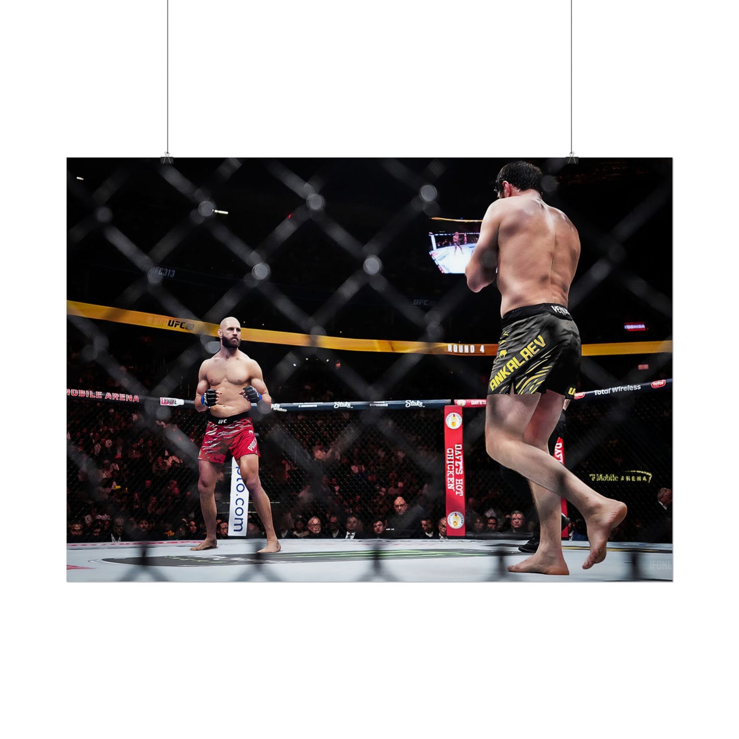 Prochazka vs Ankalaev Fantasy Fight Poster