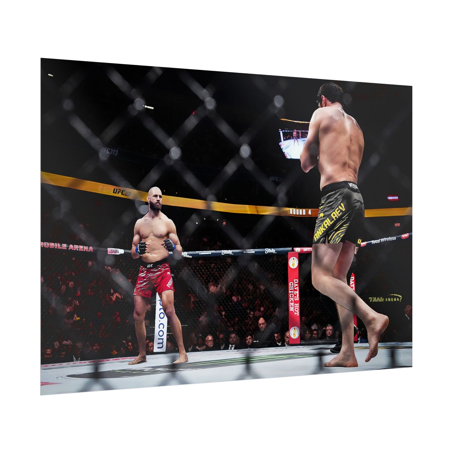 Prochazka vs Ankalaev Fantasy Fight Poster
