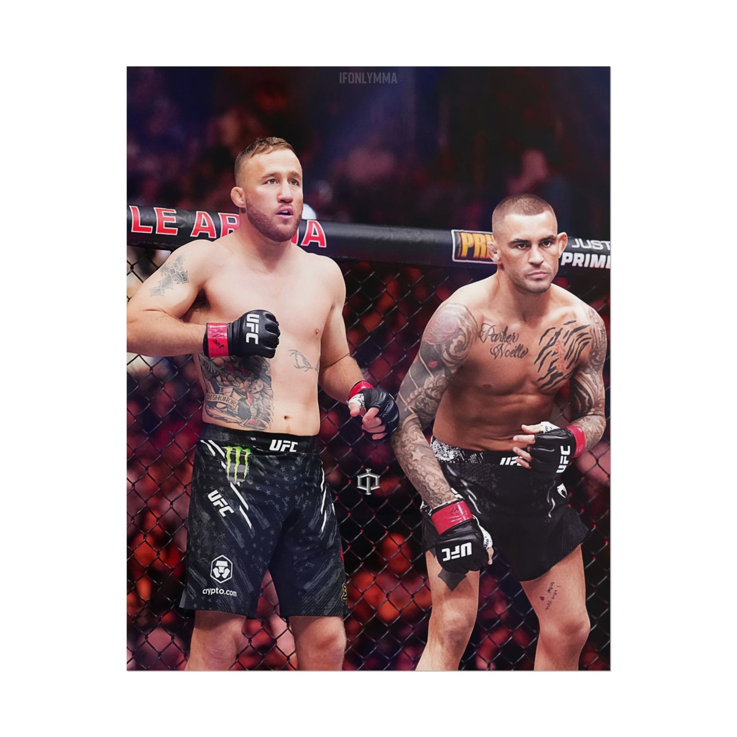 Gaethje x Poirier Tag Team