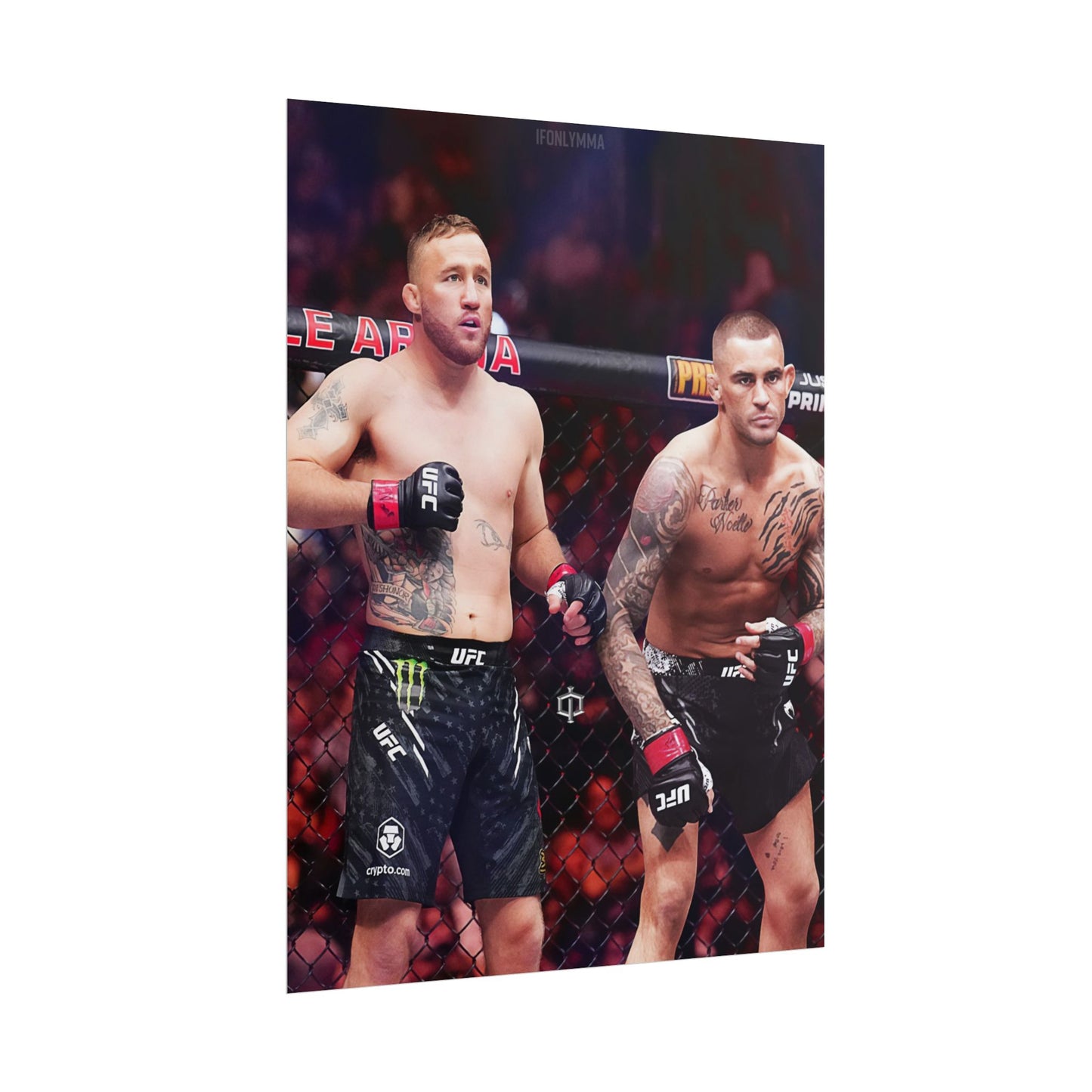 Gaethje x Poirier Tag Team