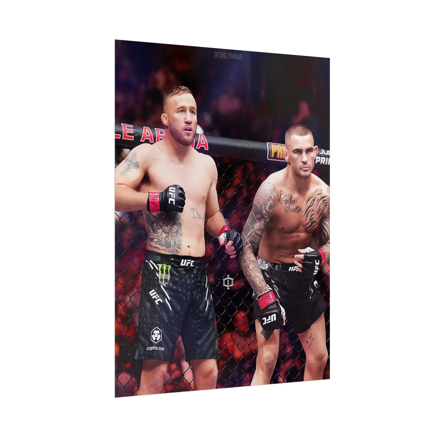 Gaethje x Poirier Tag Team