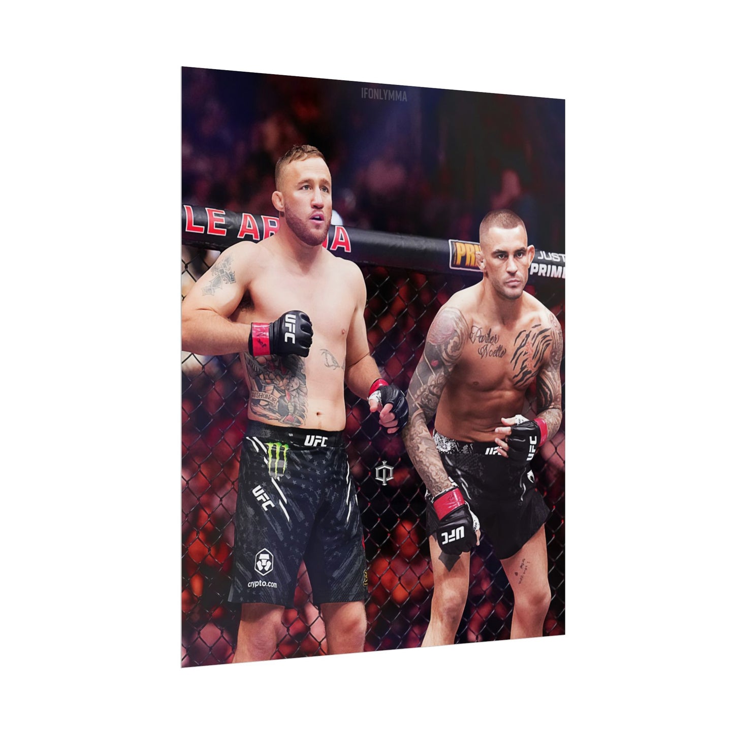 Gaethje x Poirier Tag Team
