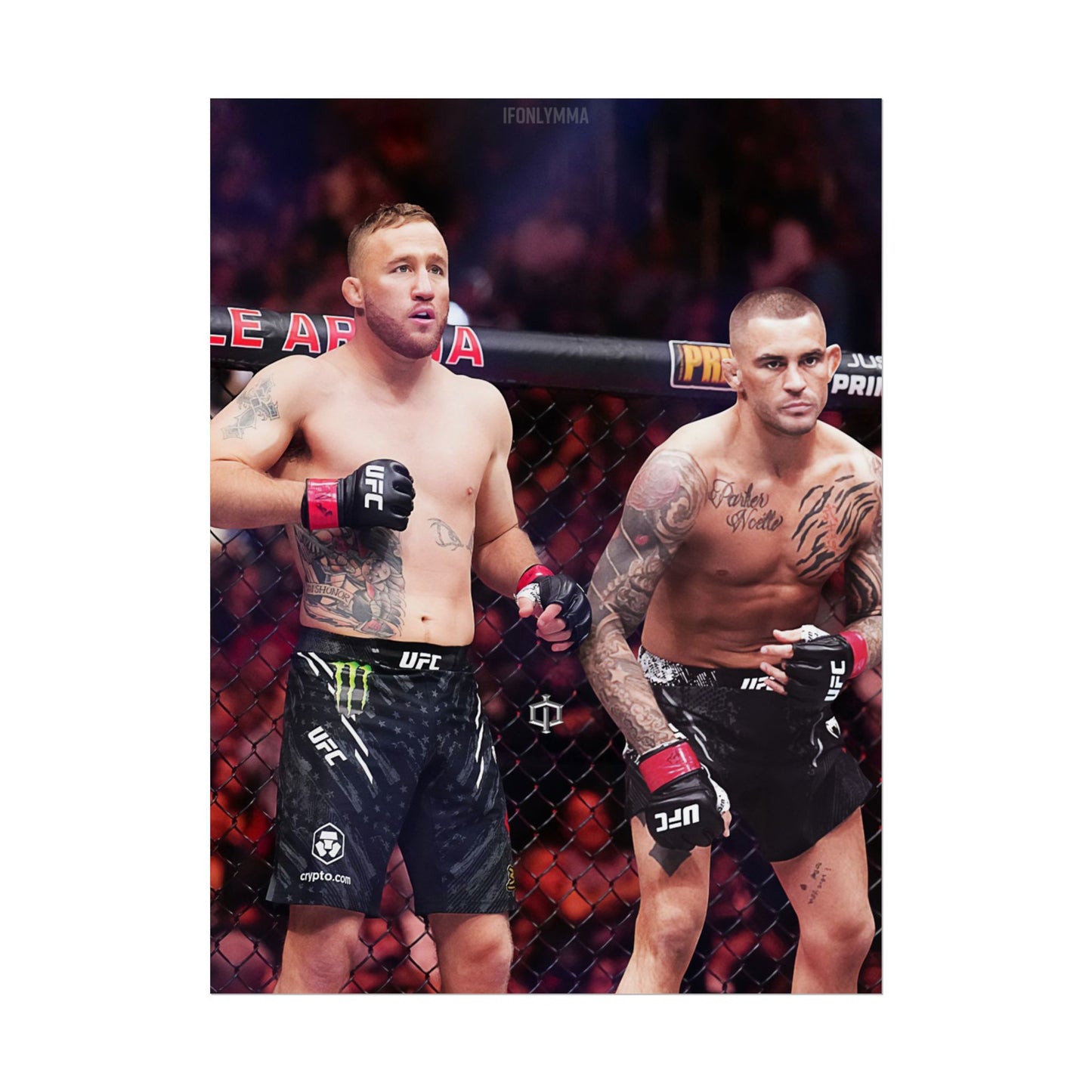 Gaethje x Poirier Tag Team