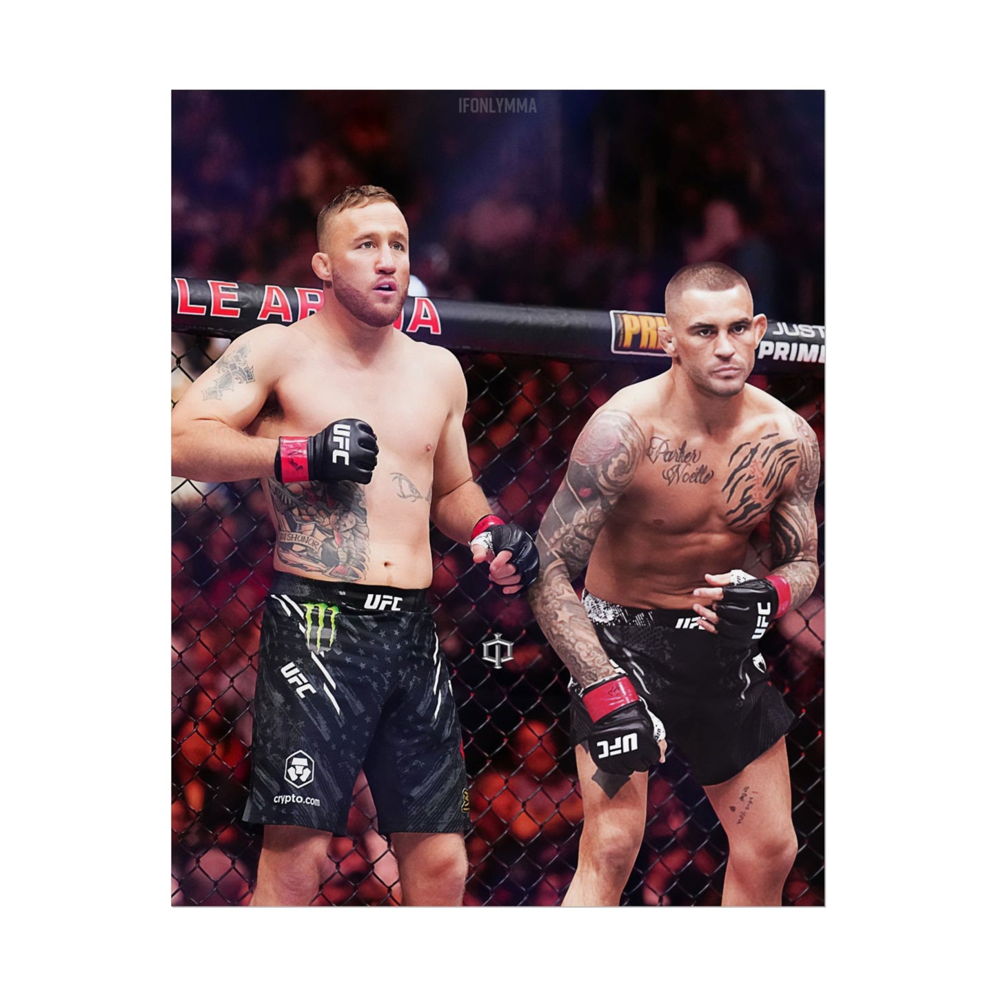 Gaethje x Poirier Tag Team