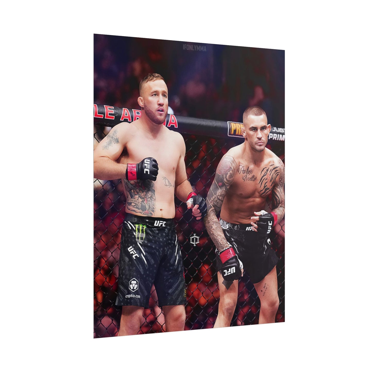 Gaethje x Poirier Tag Team