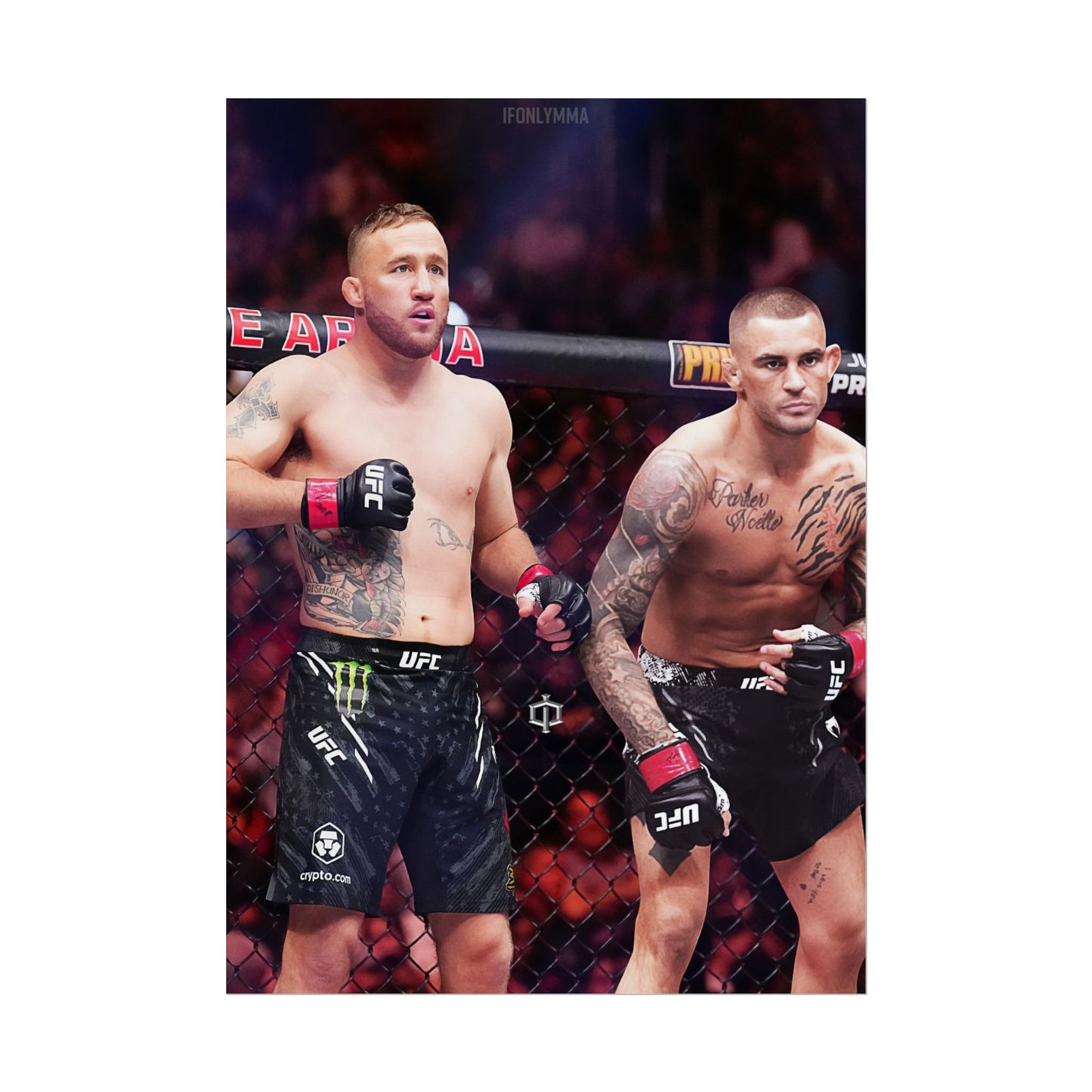 Gaethje x Poirier Tag Team