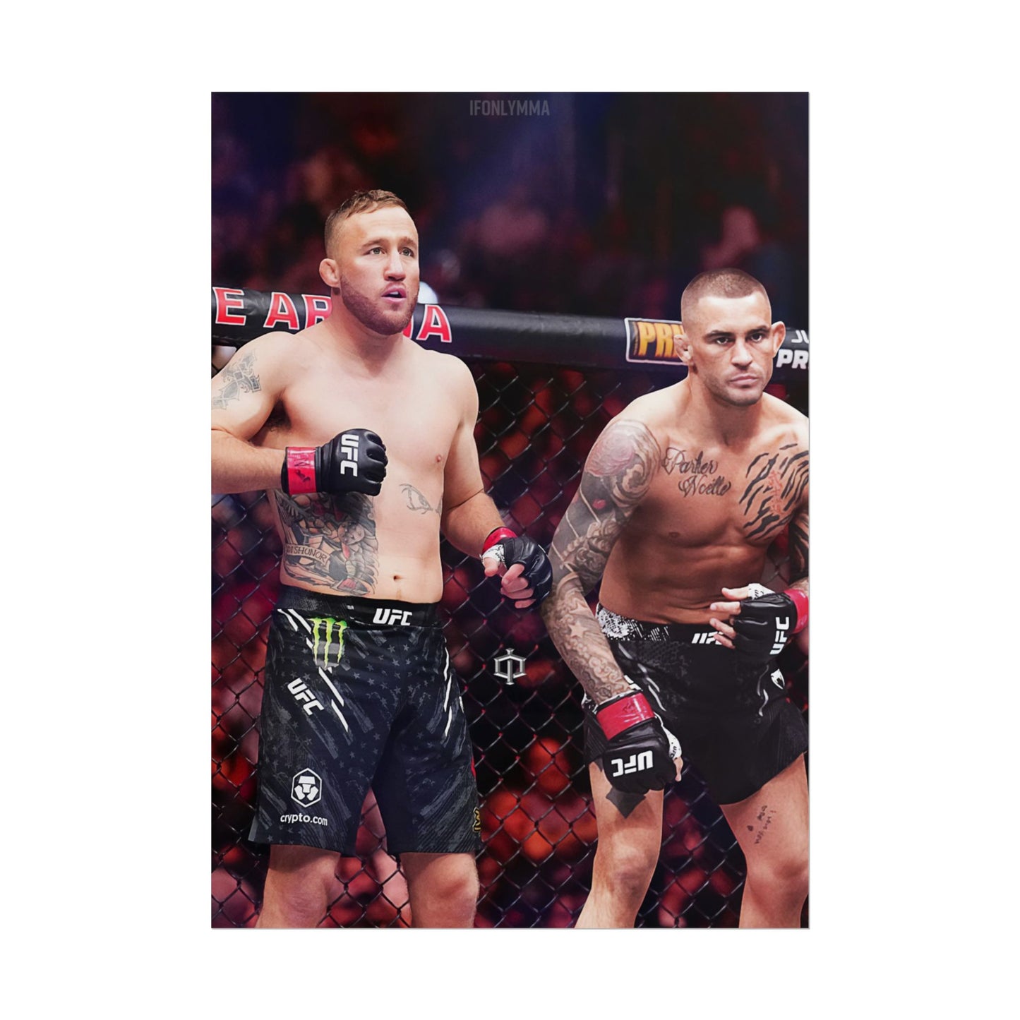 Gaethje x Poirier Tag Team
