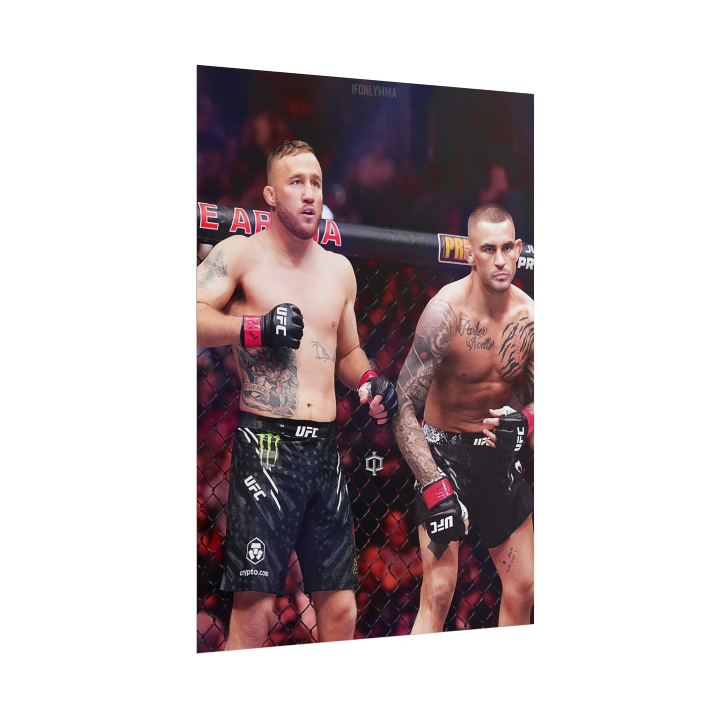 Gaethje x Poirier Tag Team