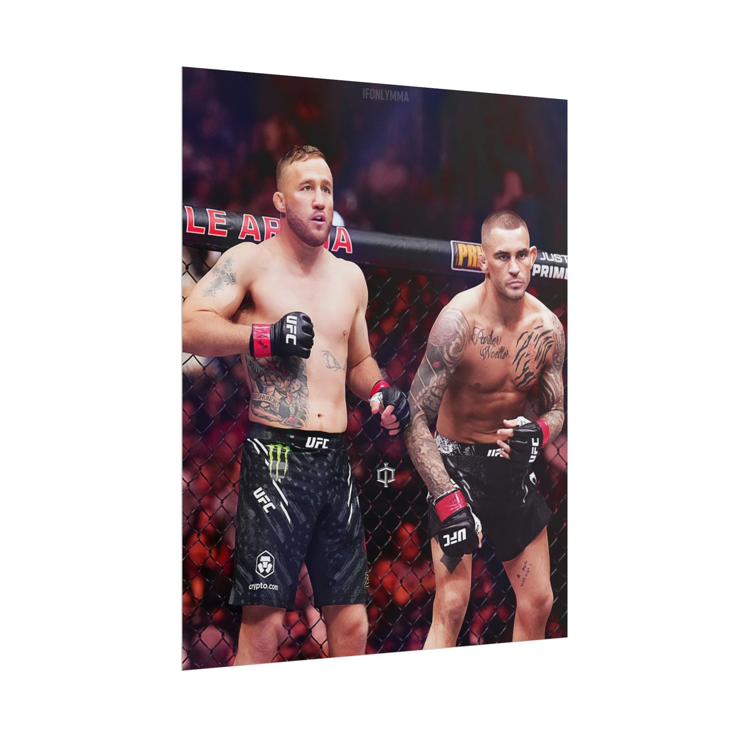 Gaethje x Poirier Tag Team