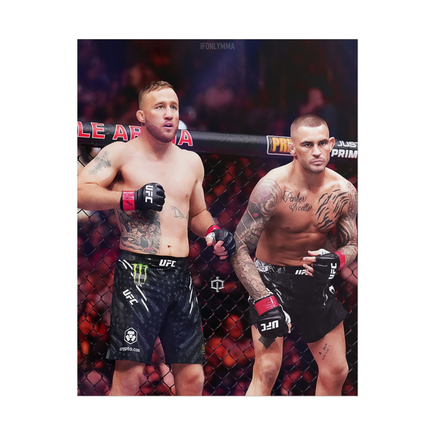 Gaethje x Poirier Tag Team