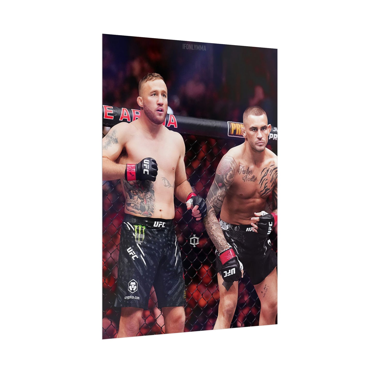 Gaethje x Poirier Tag Team